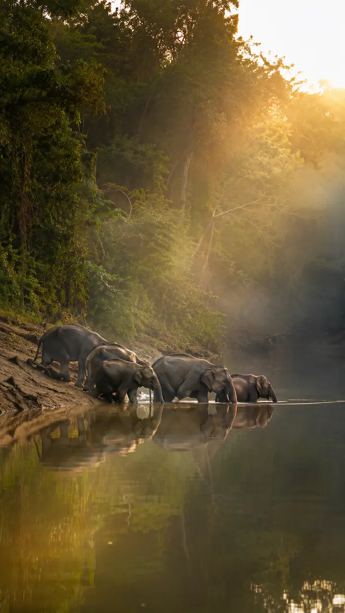 Open road and coastline mood image for Malaysia weekend routes